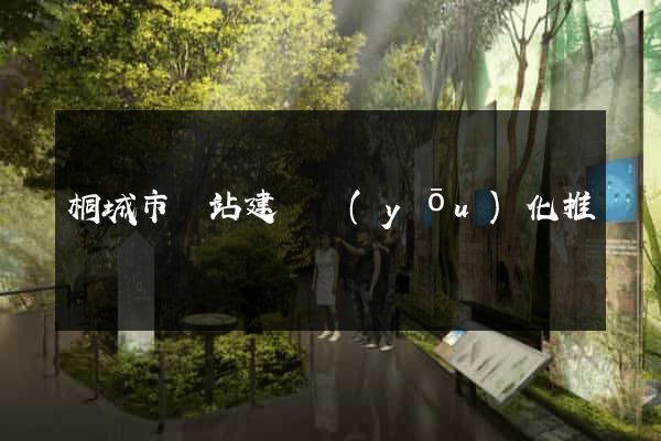 桐城市網站建設優(yōu)化推廣