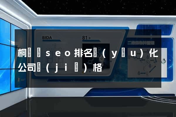 桐廬縣seo排名優(yōu)化公司價(jià)格