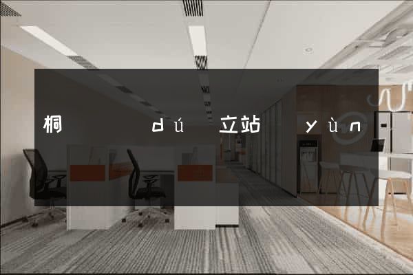 桐廬縣獨(dú)立站運(yùn)營