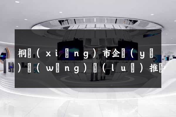 桐鄉(xiāng)市企業(yè)網(wǎng)絡(luò)推廣