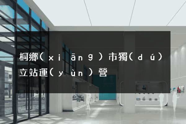 桐鄉(xiāng)市獨(dú)立站運(yùn)營