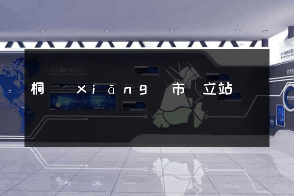 桐鄉(xiāng)市獨立站運營