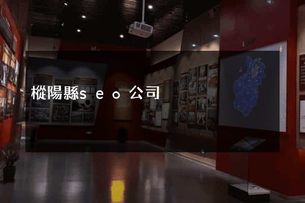 樅陽縣seo公司