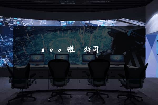 樅陽縣seo推廣公司