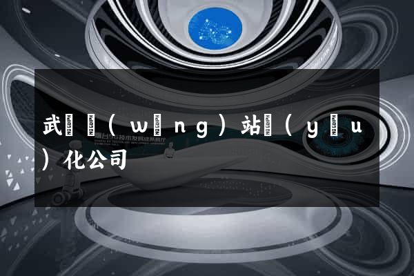 武岡網(wǎng)站優(yōu)化公司