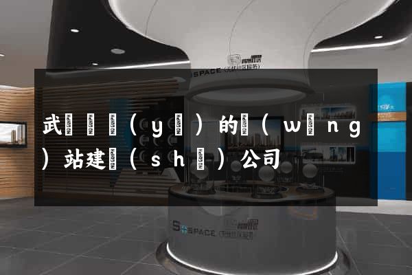武漢專業(yè)的網(wǎng)站建設(shè)公司