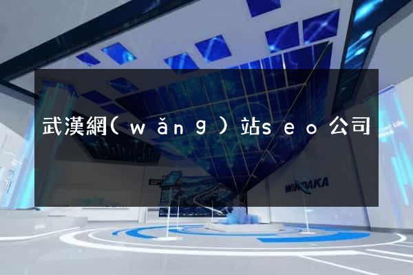 武漢網(wǎng)站seo公司