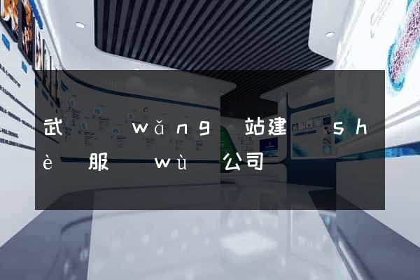 武漢網(wǎng)站建設(shè)服務(wù)公司