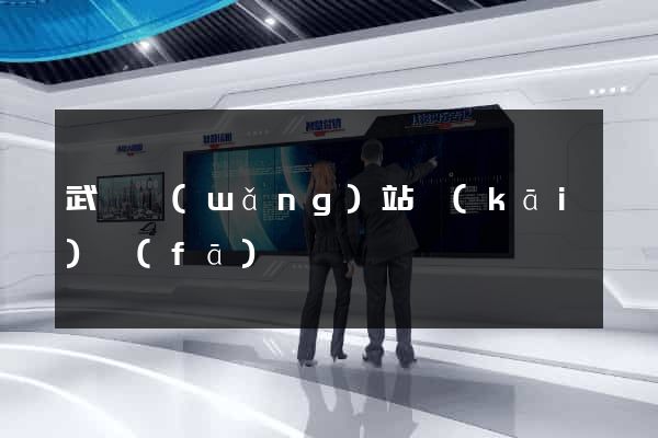 武漢網(wǎng)站開(kāi)發(fā)