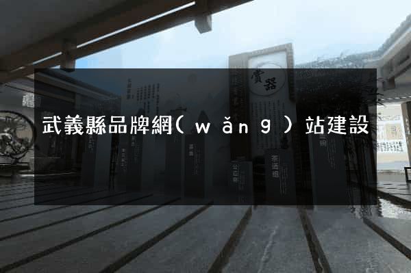 武義縣品牌網(wǎng)站建設