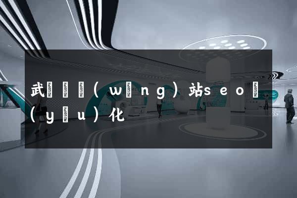 武義縣網(wǎng)站seo優(yōu)化