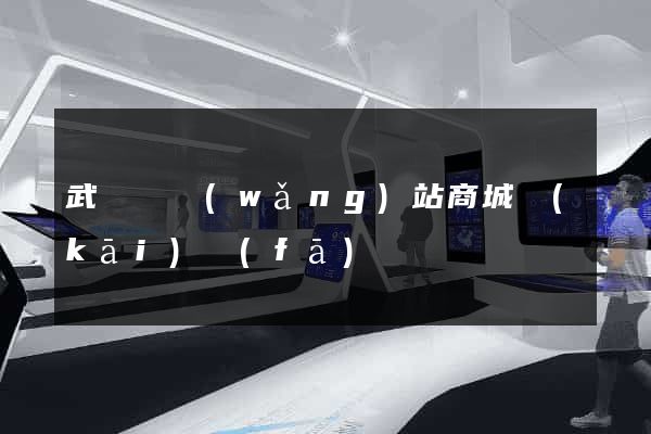 武義縣網(wǎng)站商城開(kāi)發(fā)