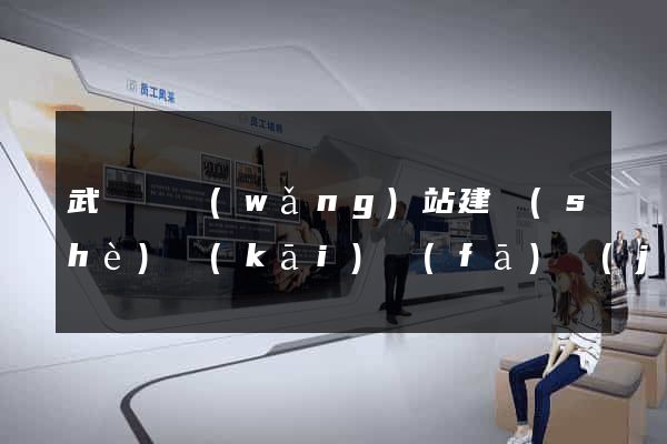 武義縣網(wǎng)站建設(shè)開(kāi)發(fā)價(jià)格