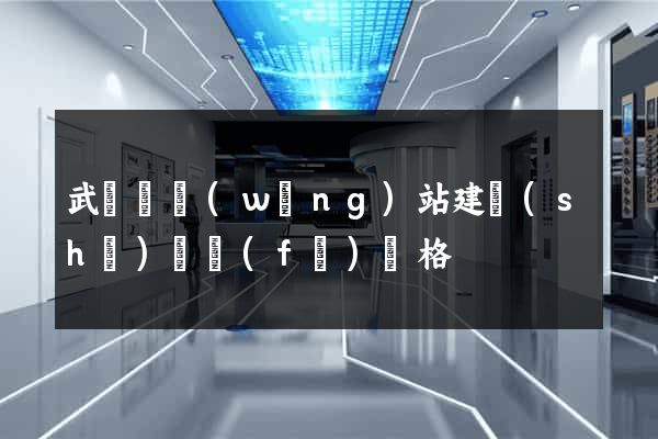 武義縣網(wǎng)站建設(shè)開發(fā)價格