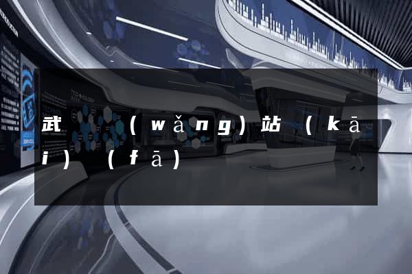 武義縣網(wǎng)站開(kāi)發(fā)
