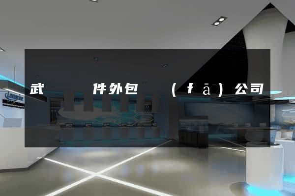 武義縣軟件外包開發(fā)公司
