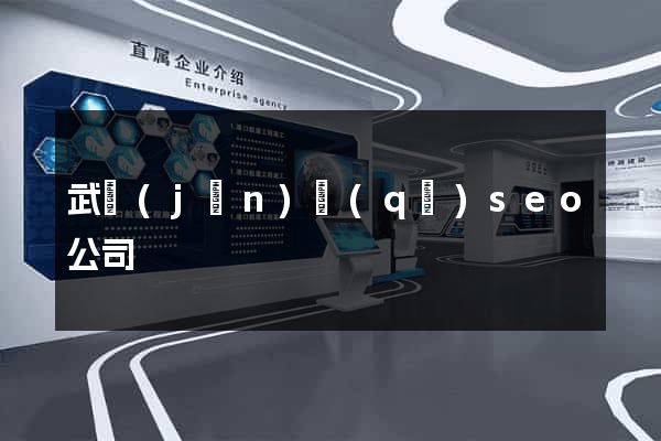武進(jìn)區(qū)seo公司