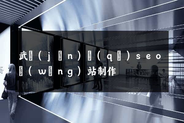 武進(jìn)區(qū)seo網(wǎng)站制作