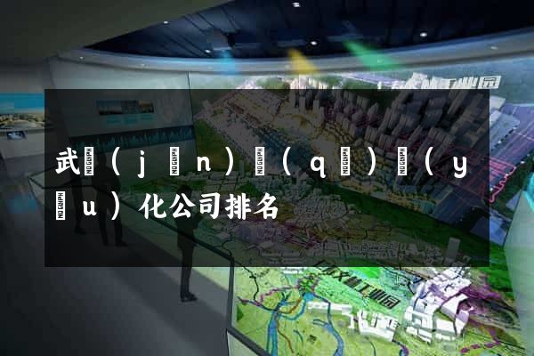 武進(jìn)區(qū)優(yōu)化公司排名