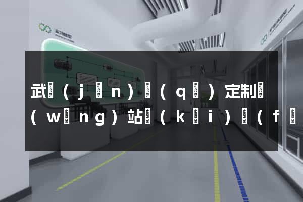 武進(jìn)區(qū)定制網(wǎng)站開(kāi)發(fā)