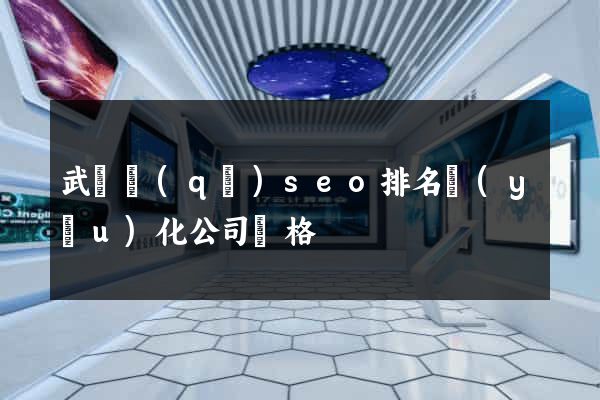 武進區(qū)seo排名優(yōu)化公司價格