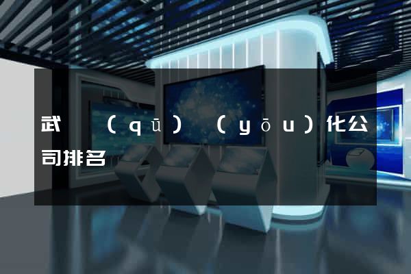 武進區(qū)優(yōu)化公司排名