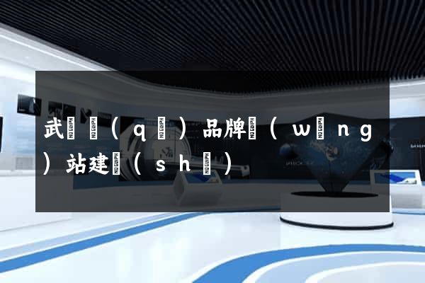 武進區(qū)品牌網(wǎng)站建設(shè)