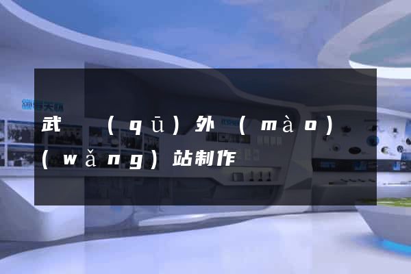 武進區(qū)外貿(mào)網(wǎng)站制作