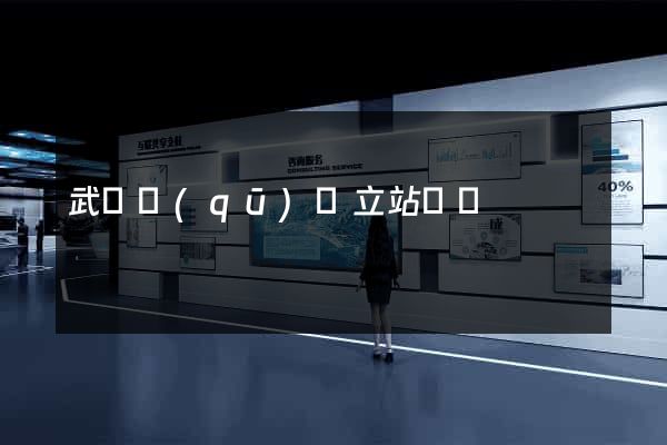 武進區(qū)獨立站運營