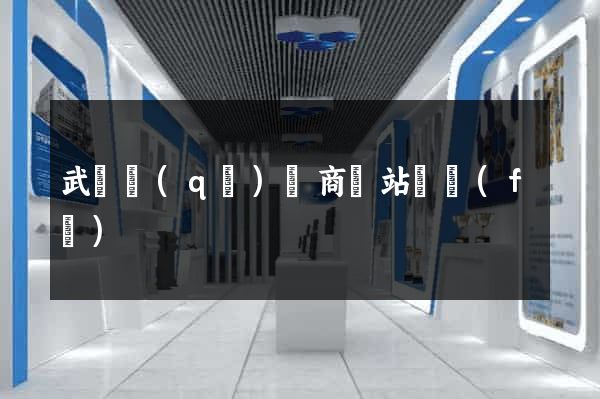 武進區(qū)電商網站開發(fā)