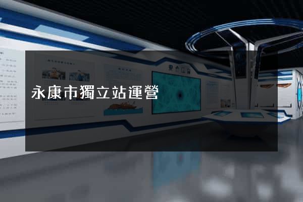 永康市獨立站運營