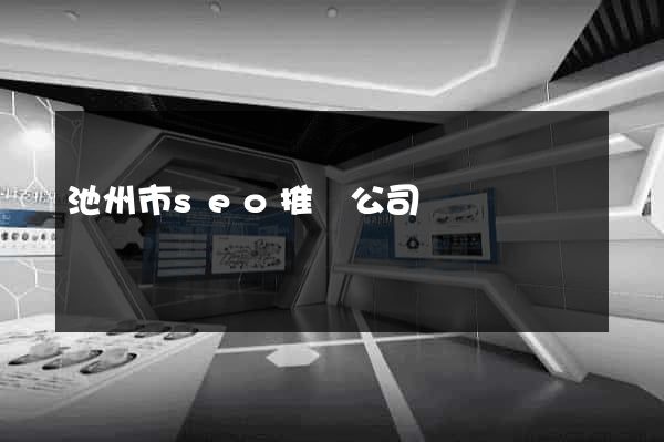 池州市seo推廣公司