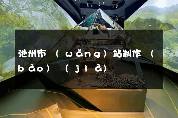 池州市網(wǎng)站制作報(bào)價(jià)