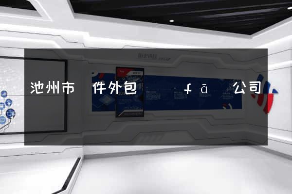池州市軟件外包開發(fā)公司