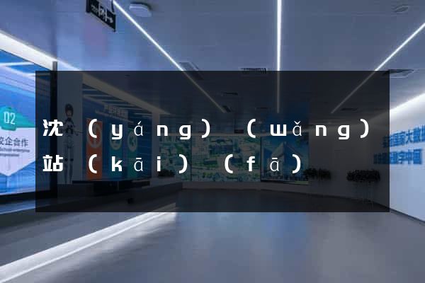 沈陽(yáng)網(wǎng)站開(kāi)發(fā)
