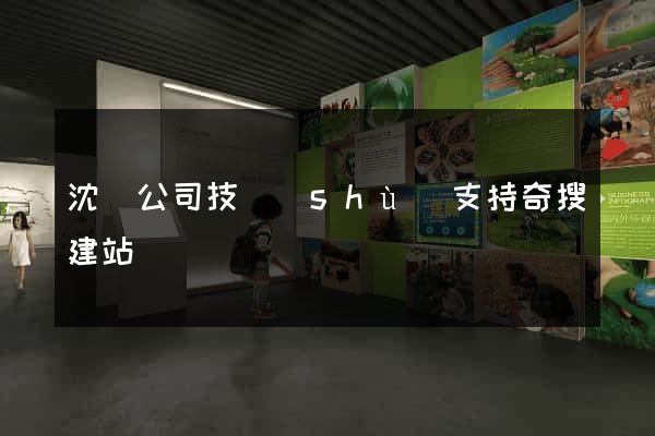 沈陽公司技術(shù)支持奇搜建站