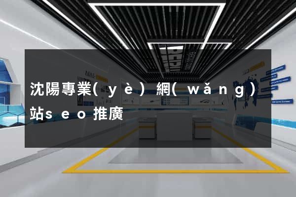 沈陽專業(yè)網(wǎng)站seo推廣