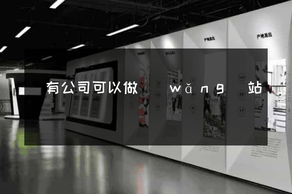沒有公司可以做網(wǎng)站嗎