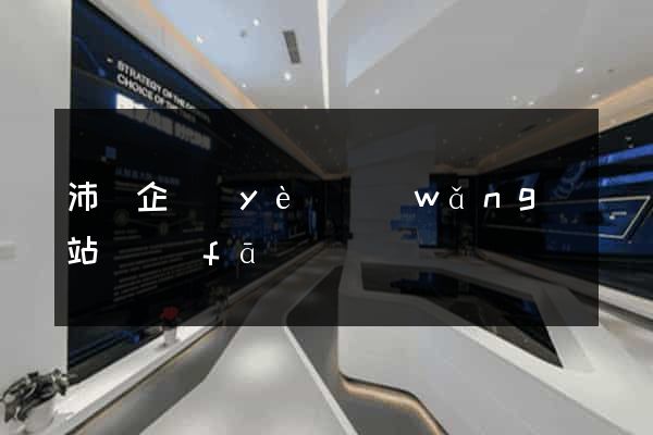 沛縣企業(yè)網(wǎng)站開發(fā)