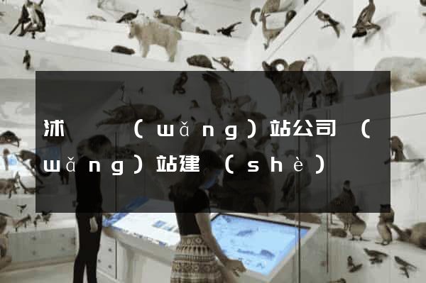 沭陽縣網(wǎng)站公司網(wǎng)站建設(shè)