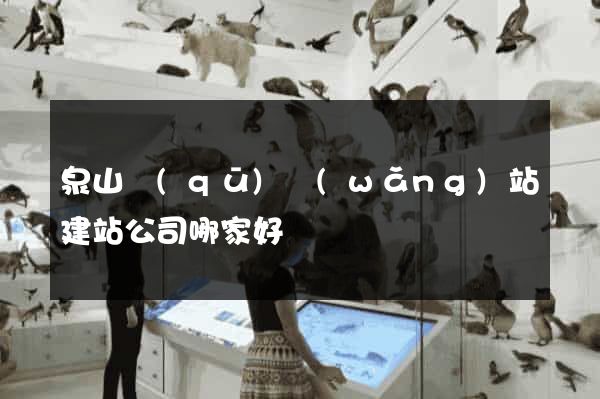 泉山區(qū)網(wǎng)站建站公司哪家好