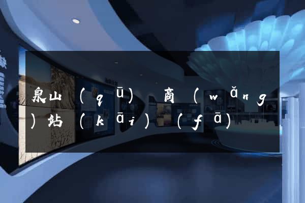 泉山區(qū)電商網(wǎng)站開(kāi)發(fā)