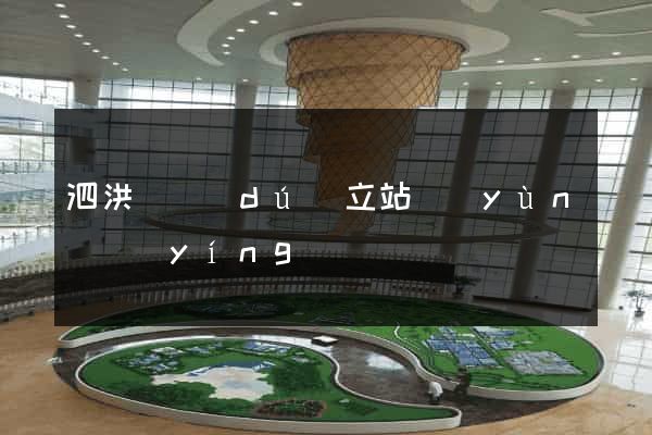泗洪縣獨(dú)立站運(yùn)營(yíng)