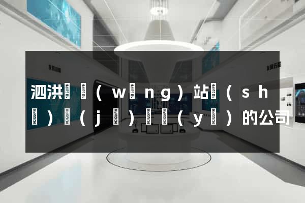 泗洪縣網(wǎng)站設(shè)計(jì)專業(yè)的公司