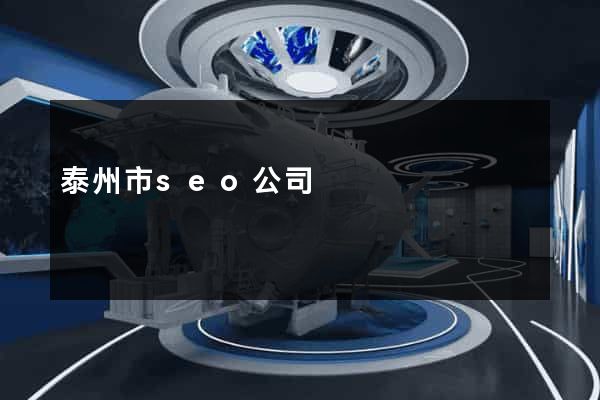 泰州市seo公司