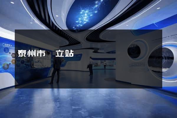 泰州市獨立站運營