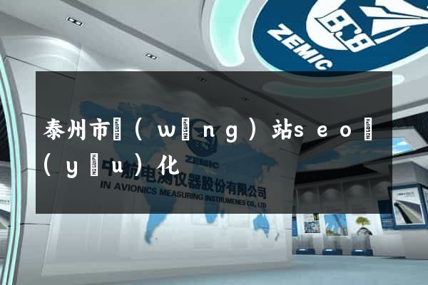 泰州市網(wǎng)站seo優(yōu)化