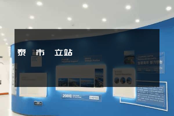 泰興市獨立站運營