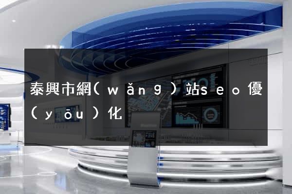 泰興市網(wǎng)站seo優(yōu)化