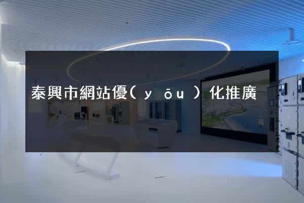 泰興市網站優(yōu)化推廣